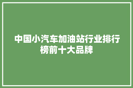 中国小汽车加油站行业排行榜前十大品牌
