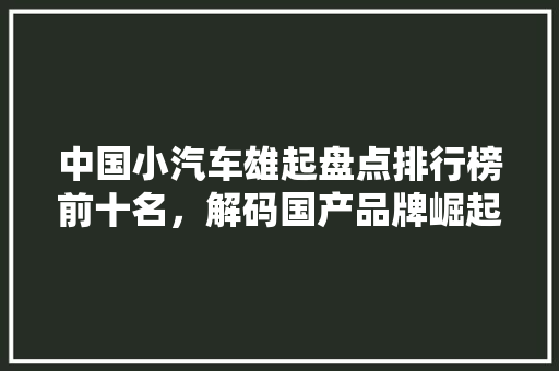 中国小汽车雄起盘点排行榜前十名，解码国产品牌崛起之路