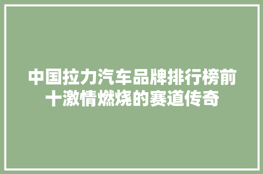 中国拉力汽车品牌排行榜前十激情燃烧的赛道传奇