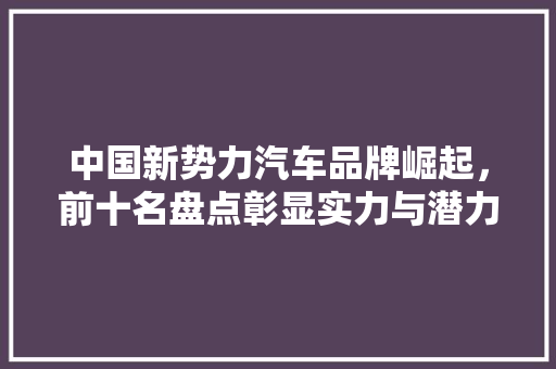 中国新势力汽车品牌崛起，前十名盘点彰显实力与潜力
