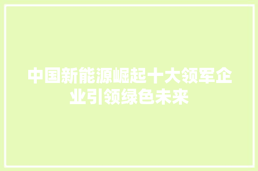 中国新能源崛起十大领军企业引领绿色未来