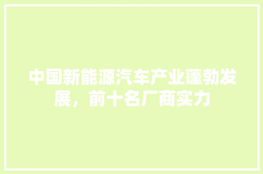 中国新能源汽车产业蓬勃发展，前十名厂商实力