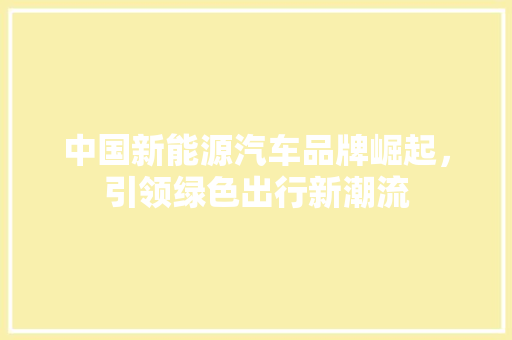 中国新能源汽车品牌崛起，引领绿色出行新潮流