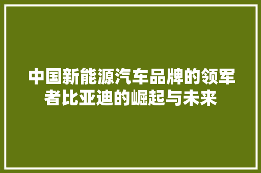 中国新能源汽车品牌的领军者比亚迪的崛起与未来