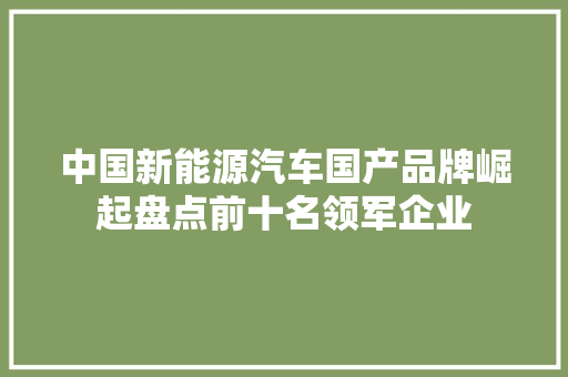 中国新能源汽车国产品牌崛起盘点前十名领军企业
