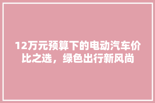 12万元预算下的电动汽车价比之选，绿色出行新风尚