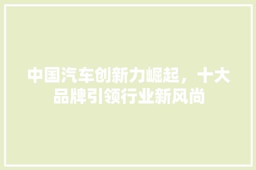中国汽车创新力崛起，十大品牌引领行业新风尚