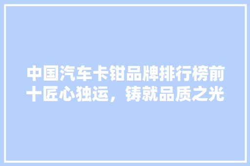 中国汽车卡钳品牌排行榜前十匠心独运，铸就品质之光