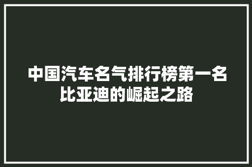 中国汽车名气排行榜第一名比亚迪的崛起之路