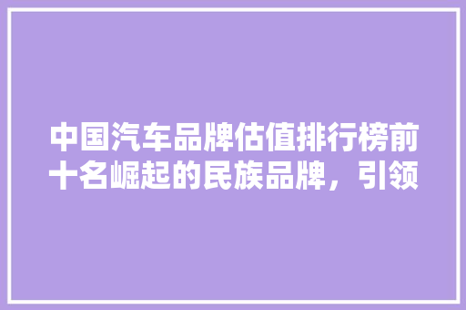 中国汽车品牌估值排行榜前十名崛起的民族品牌，引领行业新潮流