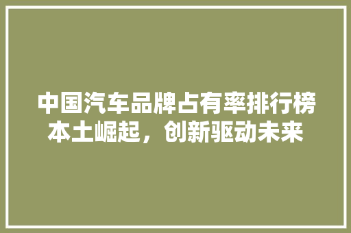 中国汽车品牌占有率排行榜本土崛起，创新驱动未来