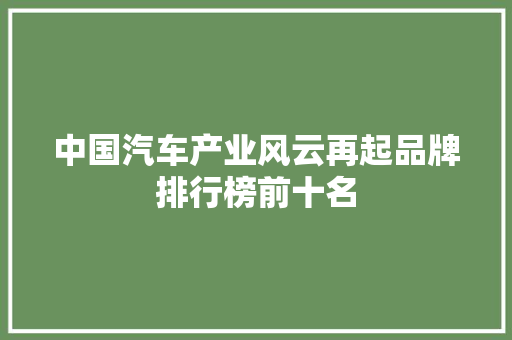中国汽车产业风云再起品牌排行榜前十名