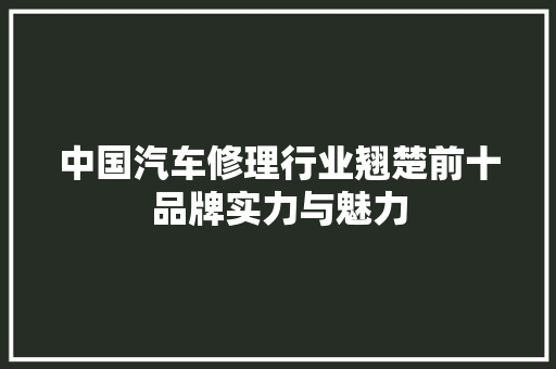 中国汽车修理行业翘楚前十品牌实力与魅力