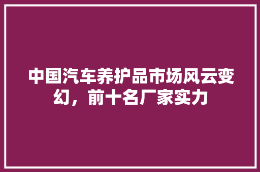中国汽车养护品市场风云变幻，前十名厂家实力
