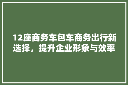 12座商务车包车商务出行新选择，提升企业形象与效率