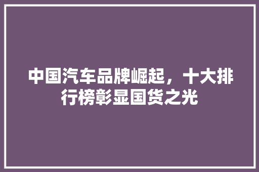 中国汽车品牌崛起，十大排行榜彰显国货之光