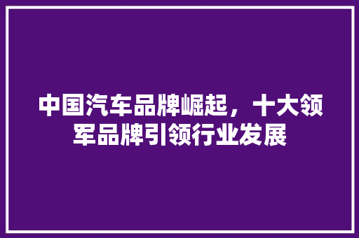 中国汽车品牌崛起，十大领军品牌引领行业发展
