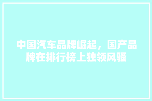 中国汽车品牌崛起，国产品牌在排行榜上独领风骚