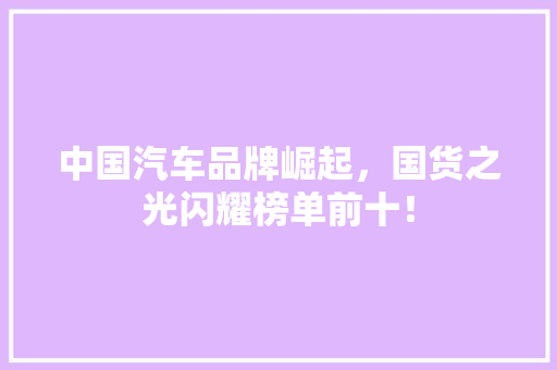 中国汽车品牌崛起，国货之光闪耀榜单前十！
