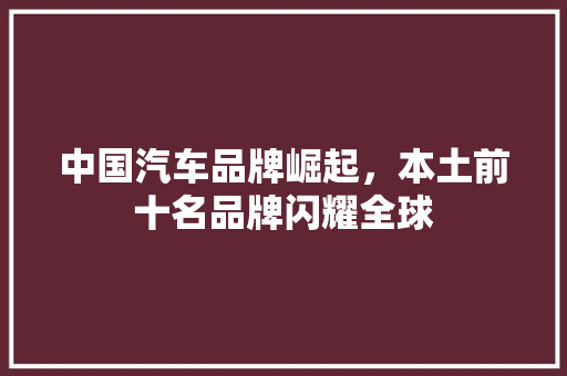 中国汽车品牌崛起，本土前十名品牌闪耀全球