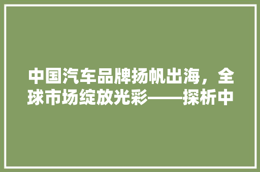 中国汽车品牌扬帆出海，全球市场绽放光彩——探析中国汽车出口品牌排行榜前十名