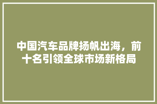 中国汽车品牌扬帆出海，前十名引领全球市场新格局
