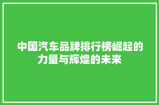 中国汽车品牌排行榜崛起的力量与辉煌的未来