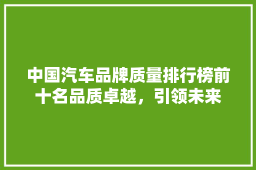 中国汽车品牌质量排行榜前十名品质卓越，引领未来