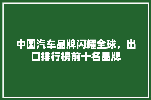 中国汽车品牌闪耀全球，出口排行榜前十名品牌