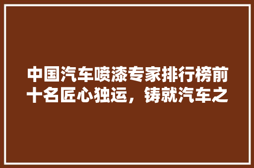 中国汽车喷漆专家排行榜前十名匠心独运，铸就汽车之美