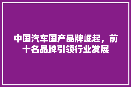 中国汽车国产品牌崛起，前十名品牌引领行业发展