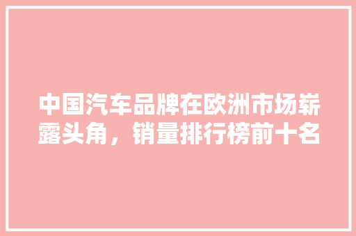 中国汽车品牌在欧洲市场崭露头角，销量排行榜前十名