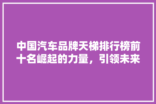 中国汽车品牌天梯排行榜前十名崛起的力量，引领未来的先锋