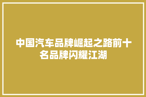 中国汽车品牌崛起之路前十名品牌闪耀江湖