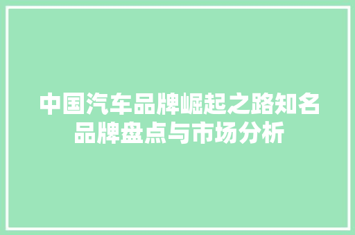 中国汽车品牌崛起之路知名品牌盘点与市场分析