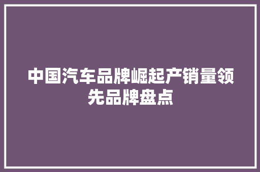 中国汽车品牌崛起产销量领先品牌盘点
