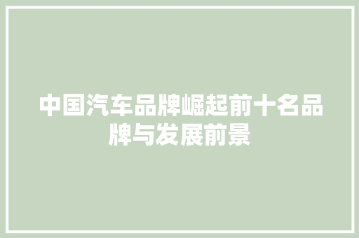 中国汽车品牌崛起前十名品牌与发展前景