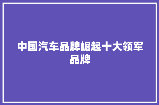 中国汽车品牌崛起十大领军品牌