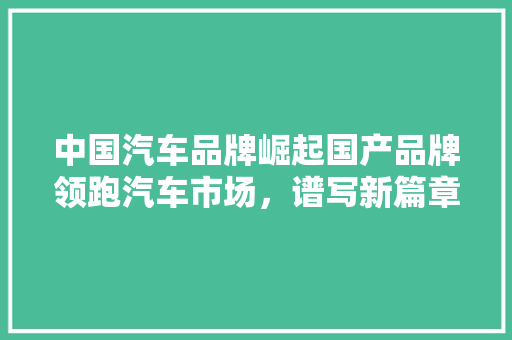 中国汽车品牌崛起国产品牌领跑汽车市场，谱写新篇章