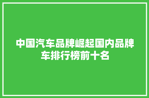 中国汽车品牌崛起国内品牌车排行榜前十名
