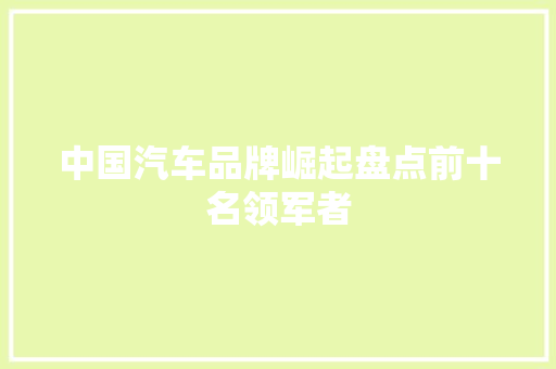 中国汽车品牌崛起盘点前十名领军者