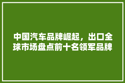 中国汽车品牌崛起，出口全球市场盘点前十名领军品牌