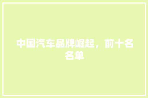 中国汽车品牌崛起，前十名名单