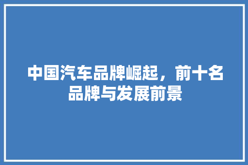 中国汽车品牌崛起，前十名品牌与发展前景