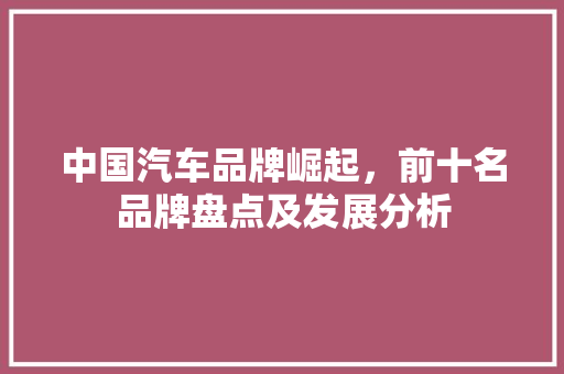 中国汽车品牌崛起，前十名品牌盘点及发展分析