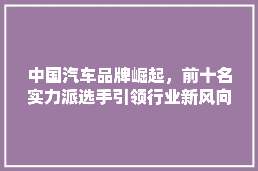 中国汽车品牌崛起，前十名实力派选手引领行业新风向