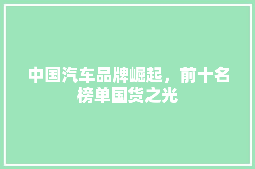 中国汽车品牌崛起，前十名榜单国货之光