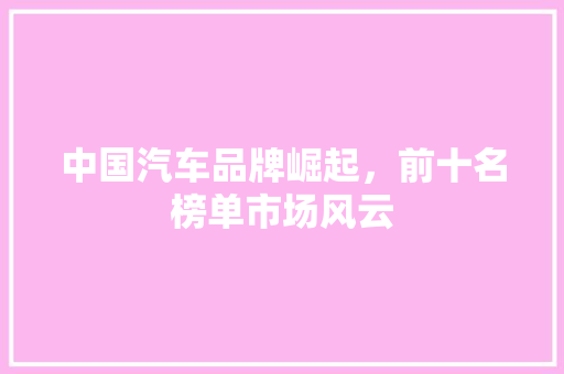 中国汽车品牌崛起，前十名榜单市场风云