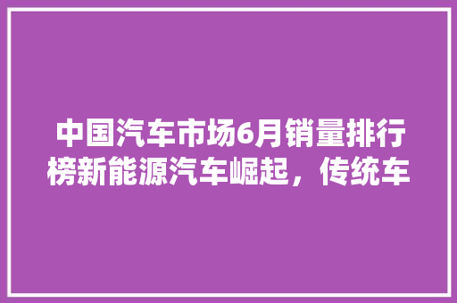 中国汽车市场6月销量排行榜新能源汽车崛起，传统车企转型加速