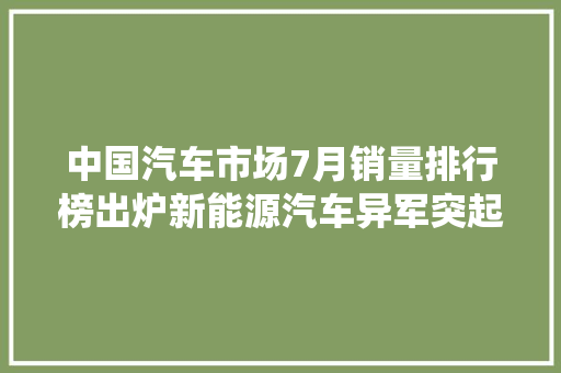 中国汽车市场7月销量排行榜出炉新能源汽车异军突起，传统车企稳扎稳打